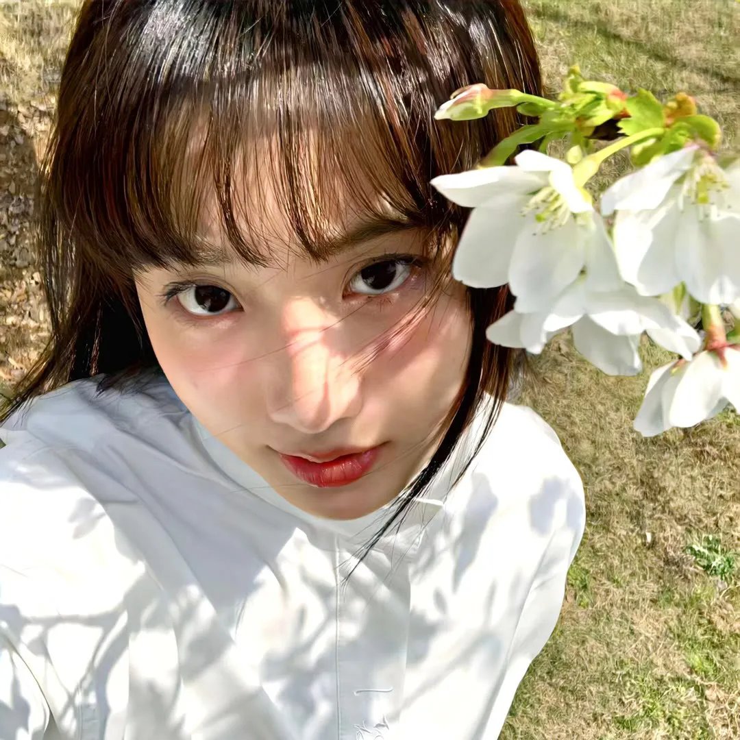 珍珠劫 在线观看